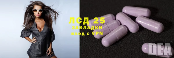 трава Бородино