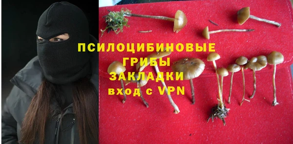 гашик Верхний Тагил